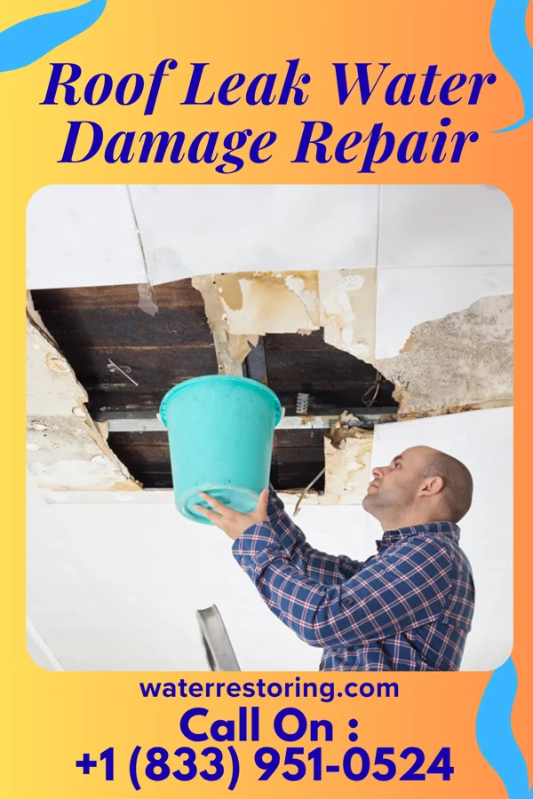 Roof Leak Water Damage Repair in Old Hundred, NC